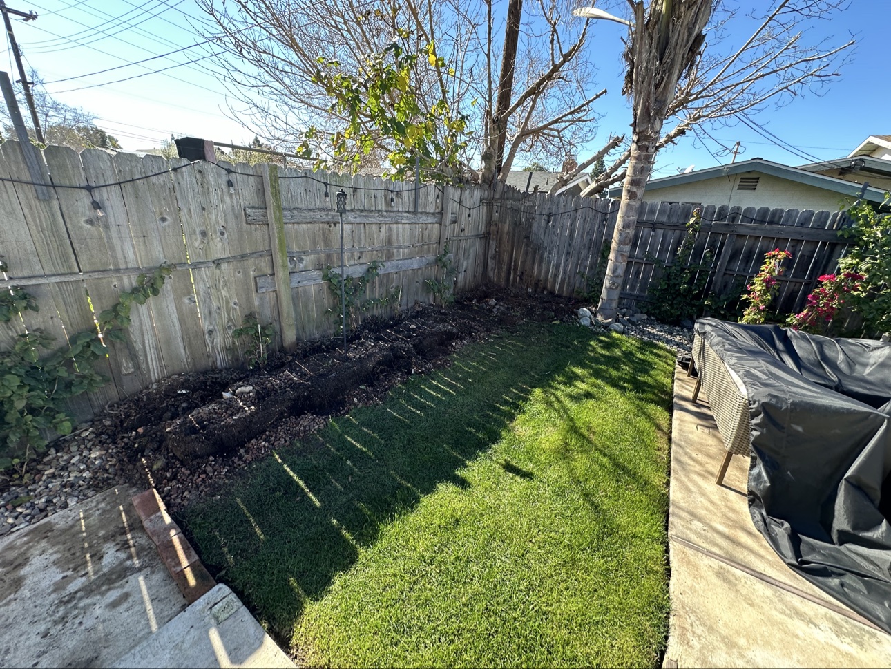 After: Costa Mesa backyard with the block planter removed and the lawn left clean