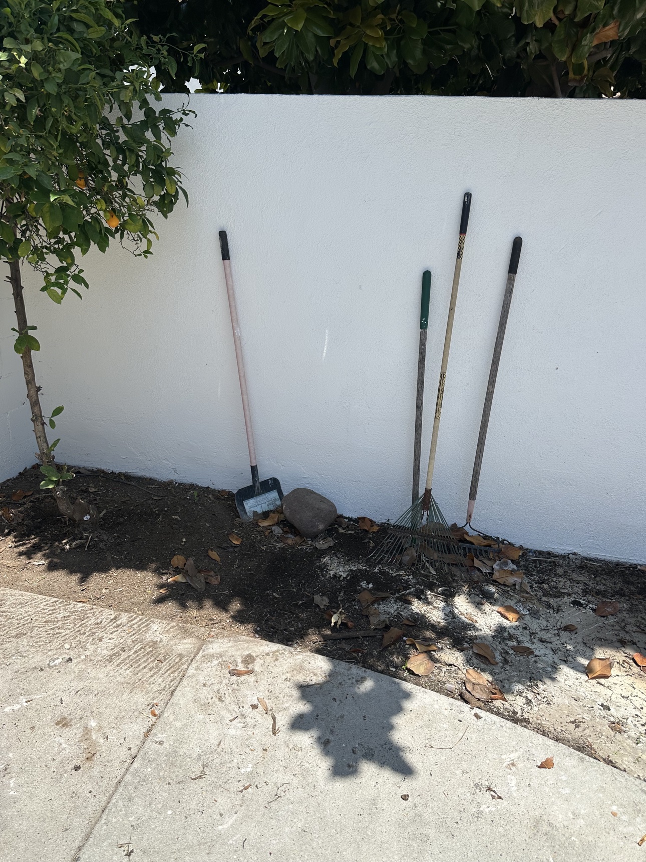 Cleared area beside the wall after Delta completed the Mission Viejo clean-out