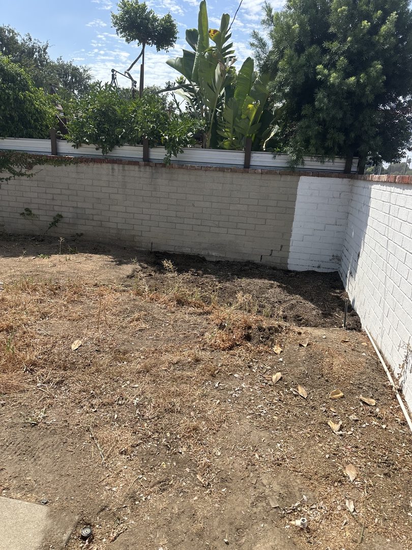 Real Delta yard corner cleared in La Habra, California