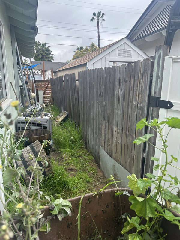 Dog run cleanout — Before