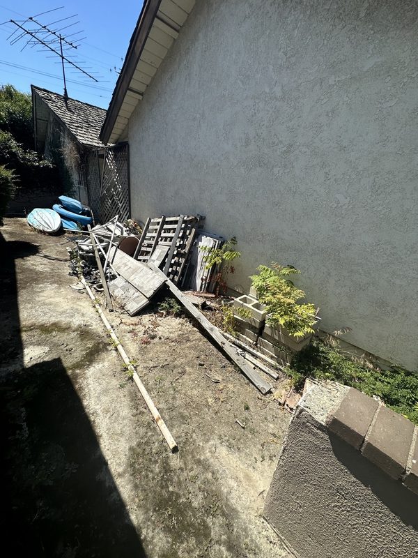Backyard cleanout — Before