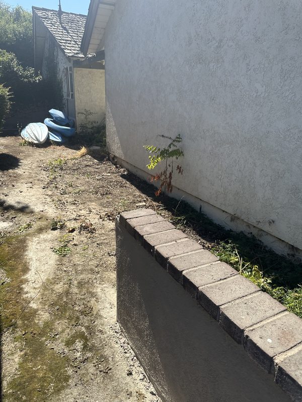 Backyard cleanout — After