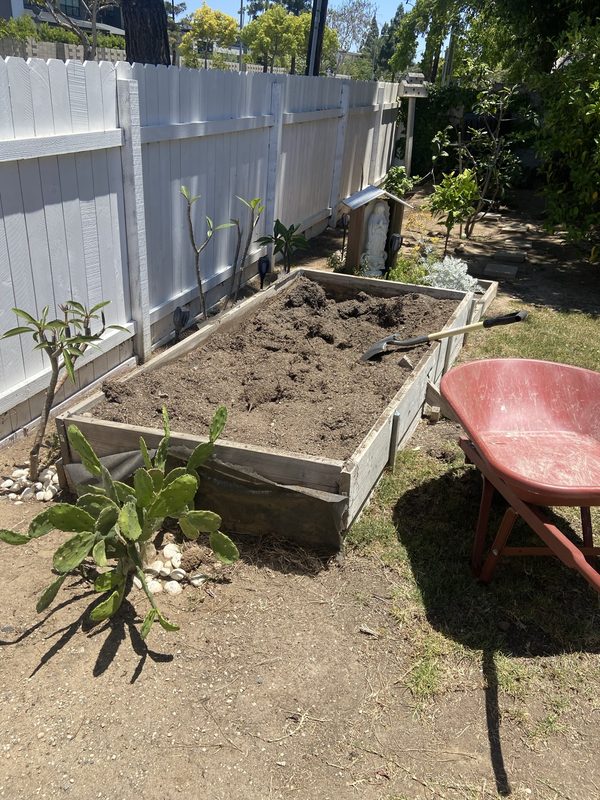 Garden bed cleanup — Before