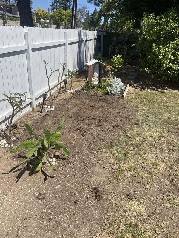 Garden bed cleanup — After