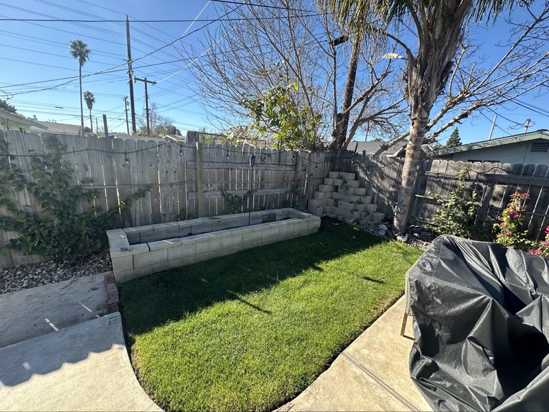 Planter & block removal — Before