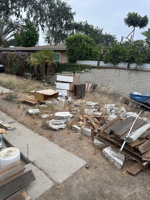 Backyard cleanup — Before