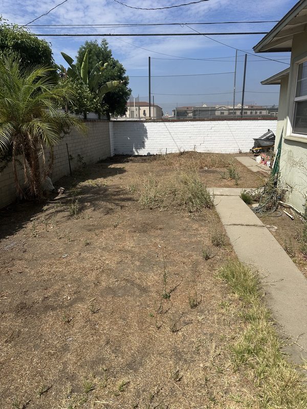 Backyard cleanup — After