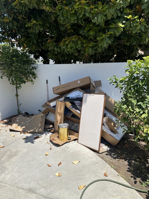 Property cleanout — Before