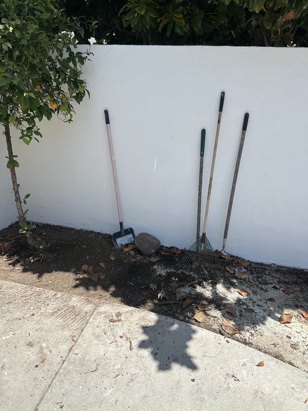 Property cleanout — After