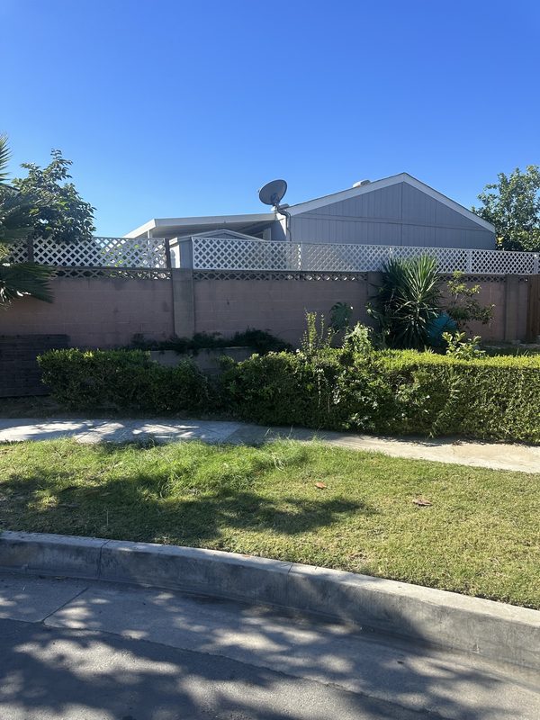 Emergency tree removal — After