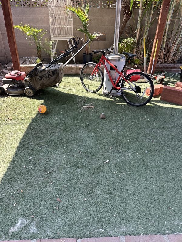 Backyard cleanup — After