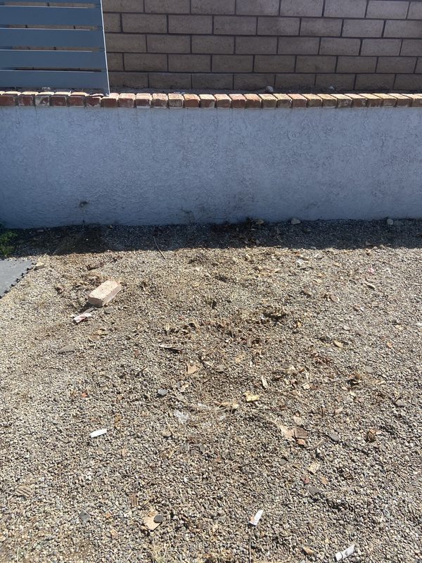 Solar panel removal — After